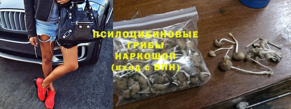 стаф Алексин